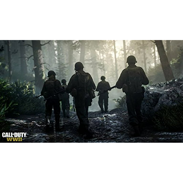  Call of Duty: WWII - PlayStation 4 Standard Edition :  Activision Inc: Video Games