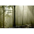 thumbnail image 2 of PhotoINC Studio 32x23 White Modern Wood Framed Museum Art Print Titled - Green Woods 2, 2 of 4