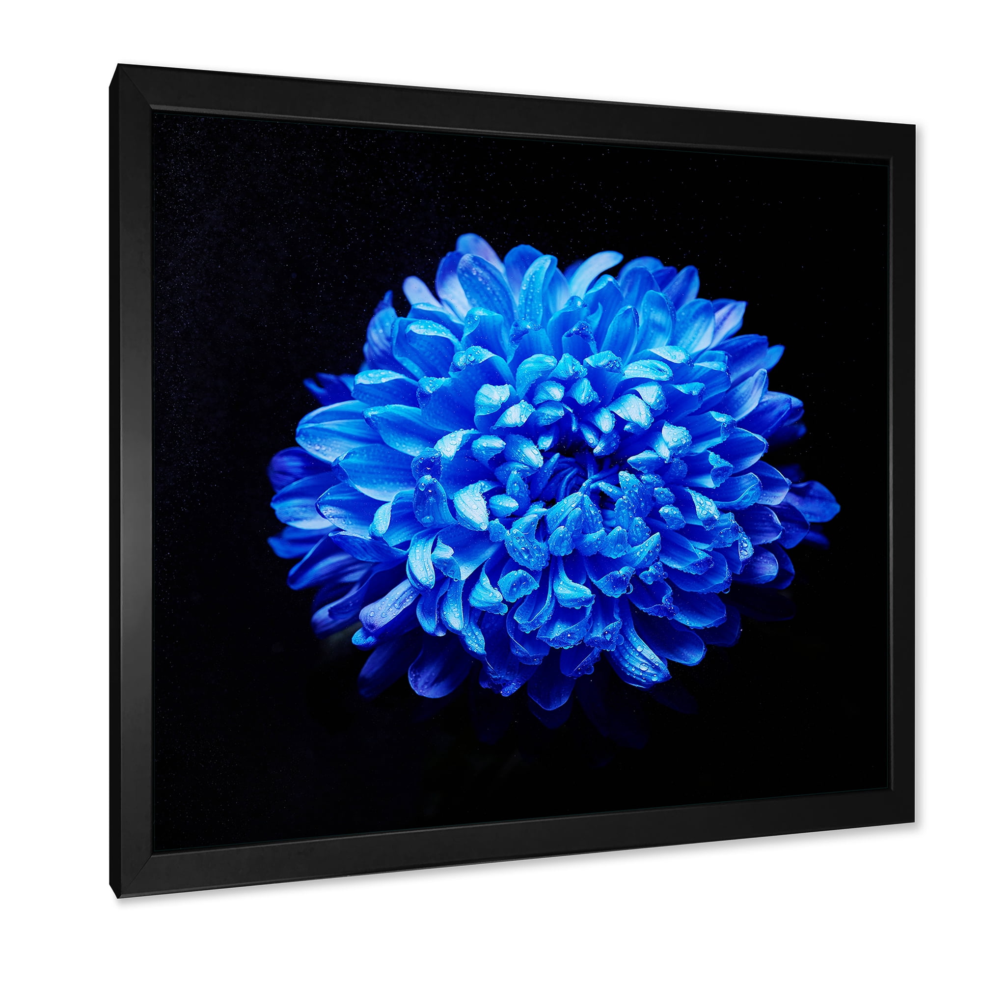 Designart 'Dew Drops on Blue Aster ' Traditional Framed Art Print
