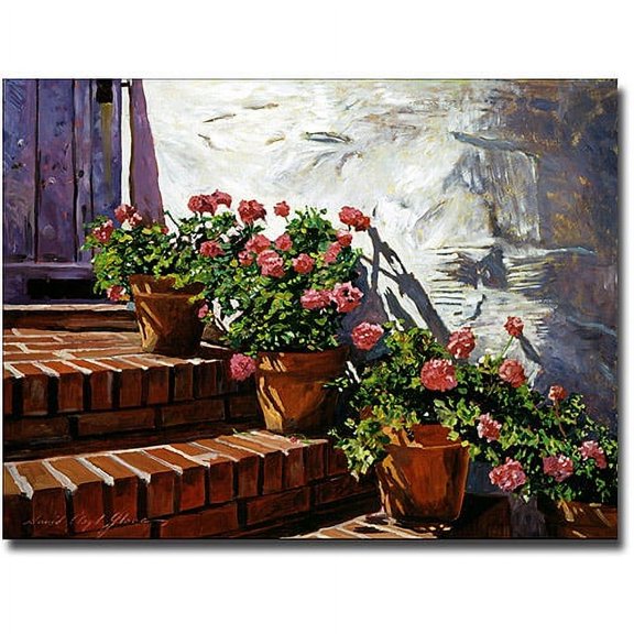 Trademark Art "Geranium Steps" Canvas Wall Art by David Lloyd Glover