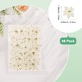 thumbnail image 3 of 48-Pack Dried Pressed Flowers for Resin, Real Natural Bulk Dry Floral for Crafts/DIY Jewelry/Soap Making/Scrapbooking/Candle/Epoxy Resin Supplies/Photo Frames [White], 3 of 6