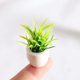 thumbnail image 5 of Plantas verdes artificiales, 6 piezas, miniadorno exquisito, maceta de plástico para casa de muñecas de interior, 5 of 6