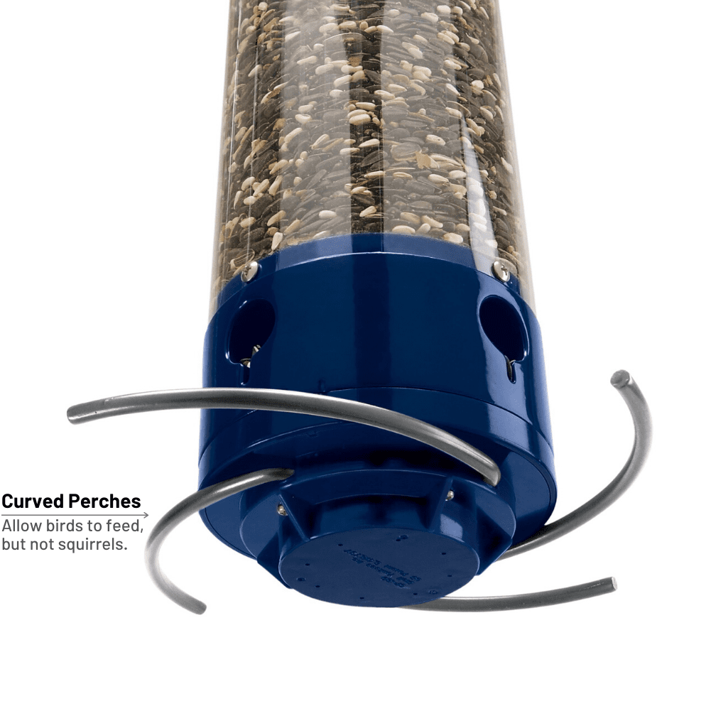 Droll Yankees Squirrel Proof Bird Feeders for Outdoors - Whipper, Collapsible Perches, 5-Pound Seed Capacity, Blue