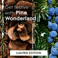 thumbnail image 3 of Glade Candle, 3 Wick Scented Candle, Pine Wonderland, 6.8 oz, 3 of 15