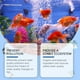 thumbnail image 4 of Cleaning The Fish Tank Removing Moss And Water Without Damaging The Fish Removing Moss And Powder, 4 of 9