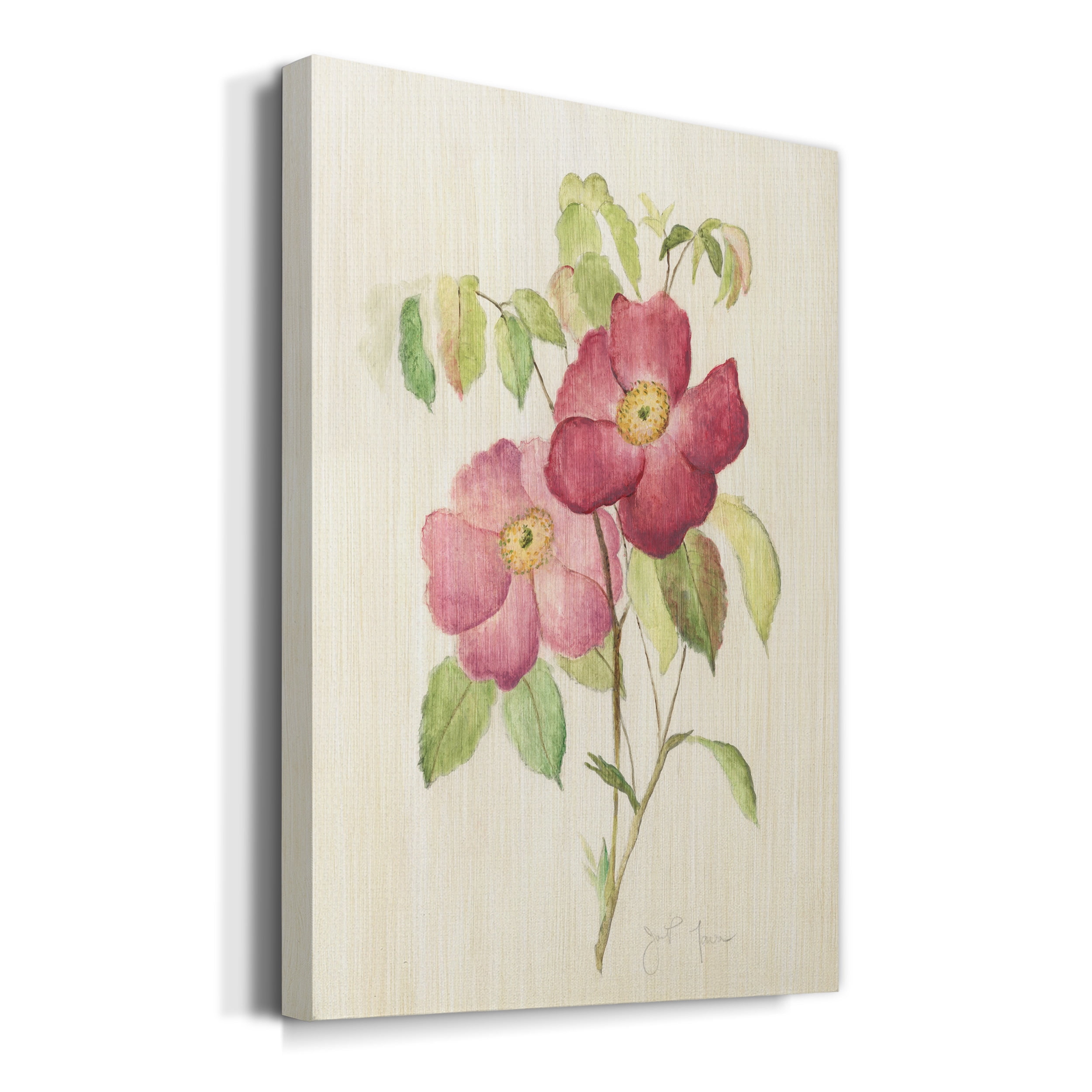 Dusty Rose II Premium Gallery Wrapped Canvas - Ready to Hang - 40 x 60