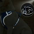 thumbnail image 4 of Arnés para perros Bling Bling Triángulo Reflectante Ajustable Azul M, 4 of 10