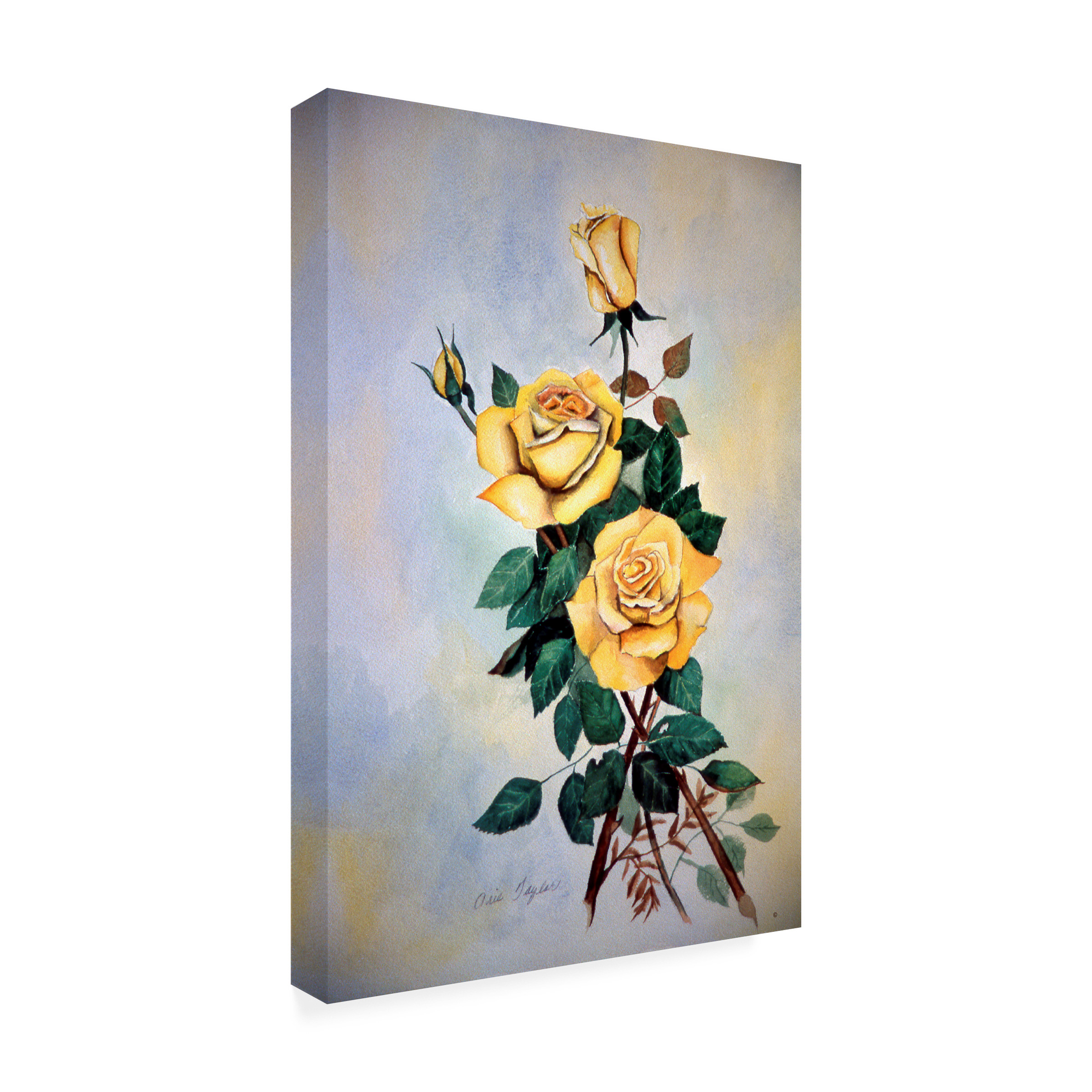 Trademark Fine Art 'Yellow Roses Sprig' Canvas Art by Arie Reinhardt Taylor