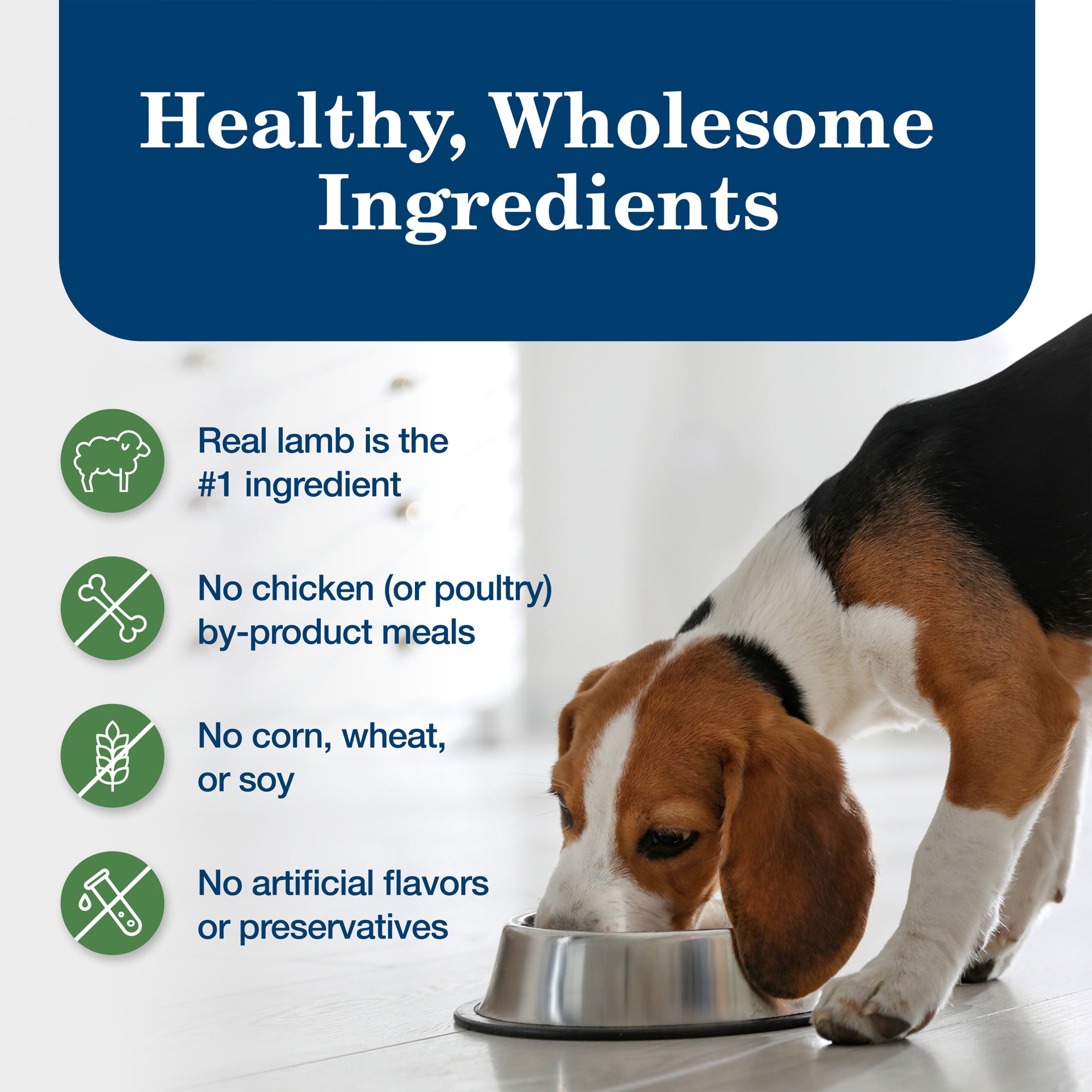(12 pack) Blue Buffalo Homestyle Recipe Adult Wet Dog Food, Lamb Dinner, 12.5-oz. Can