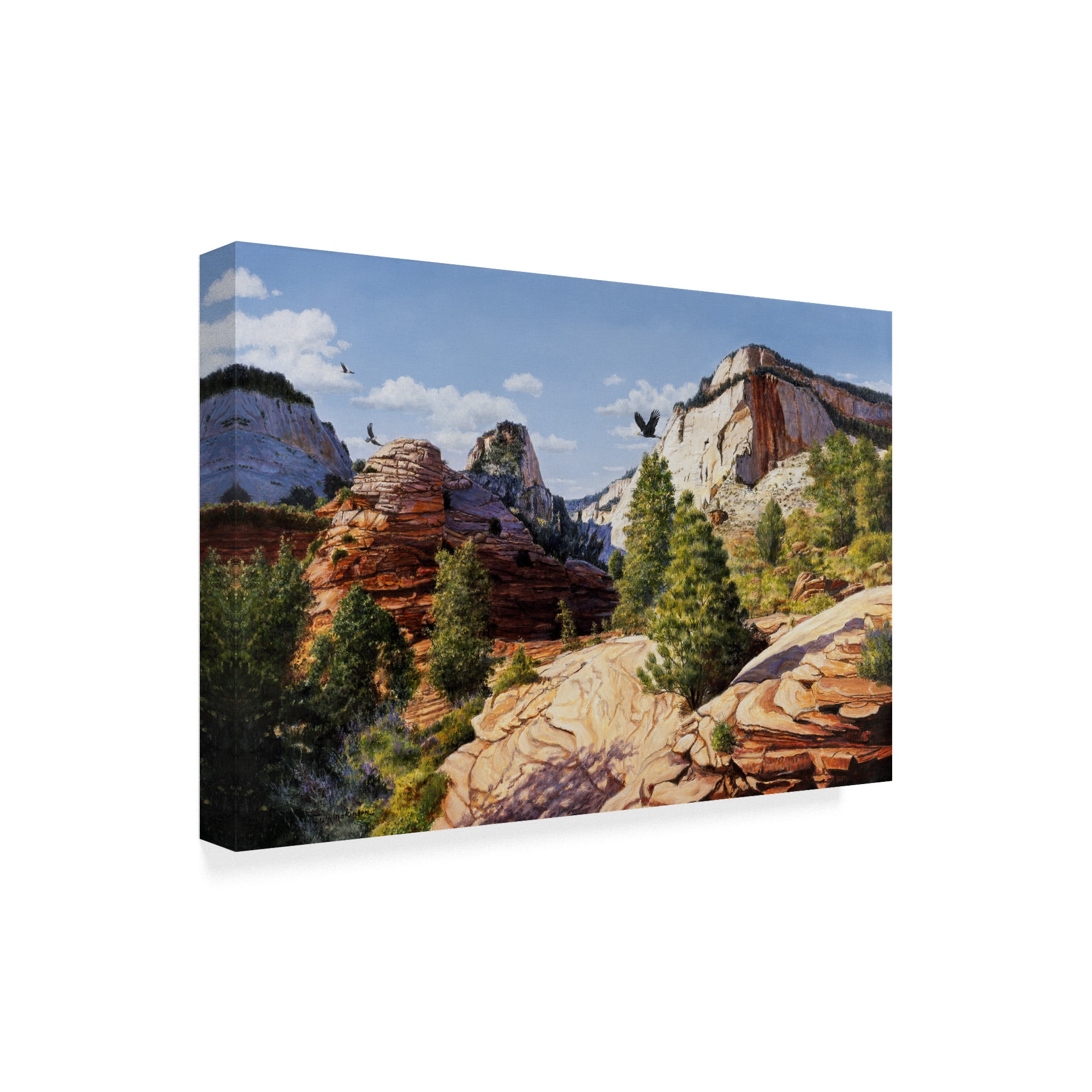 Trademark Fine Art 'Zion 2' Canvas Art by Bill Makinson