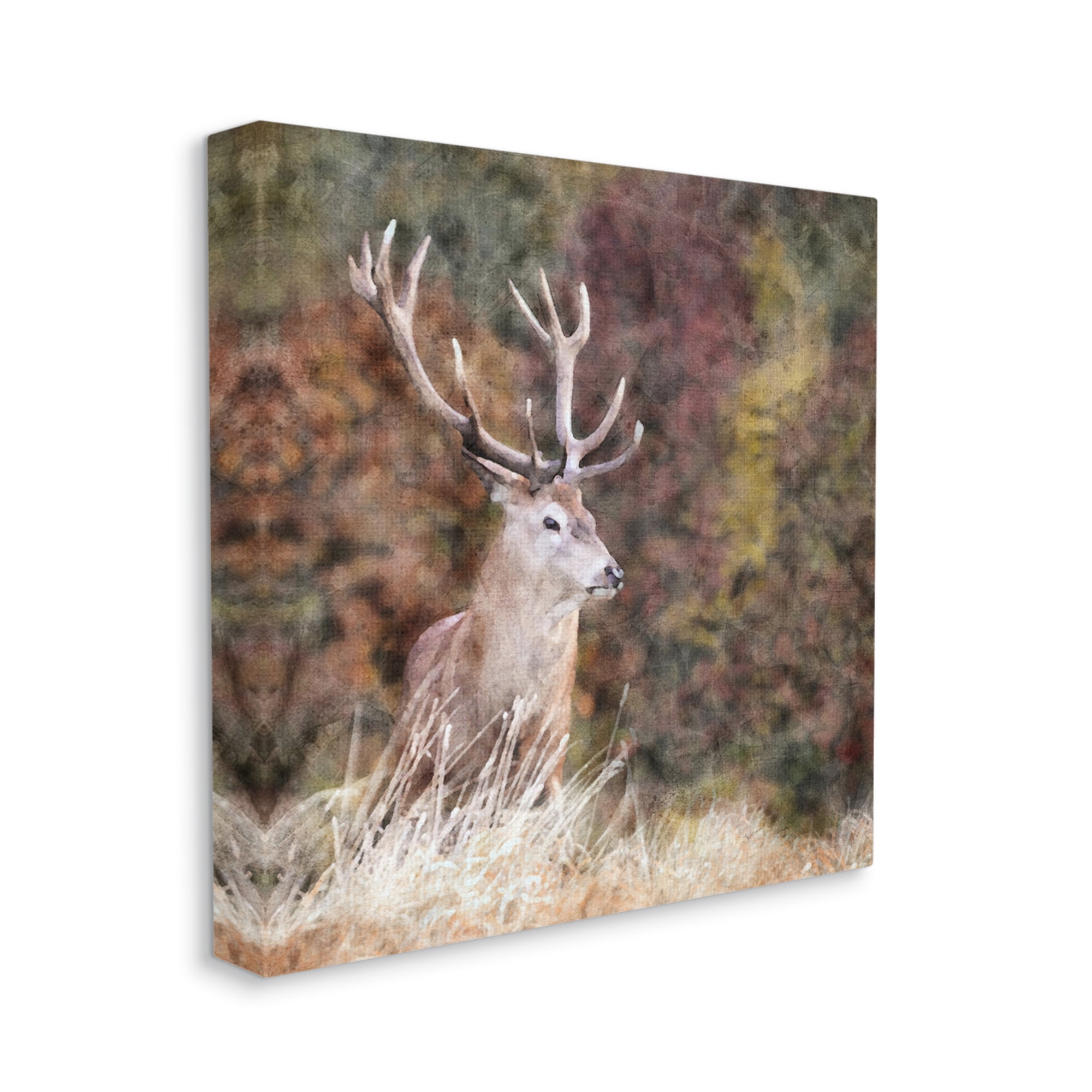 Stupell Industries Deer in Forest Nature Animals & Insects Painting Gallery Wrapped Canvas Print Wall Art, 24 x 24