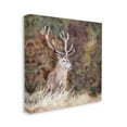thumbnail image 4 of Stupell Industries Deer in Forest Nature Animals & Insects Painting Gallery Wrapped Canvas Print Wall Art, 17 x 17, 4 of 8