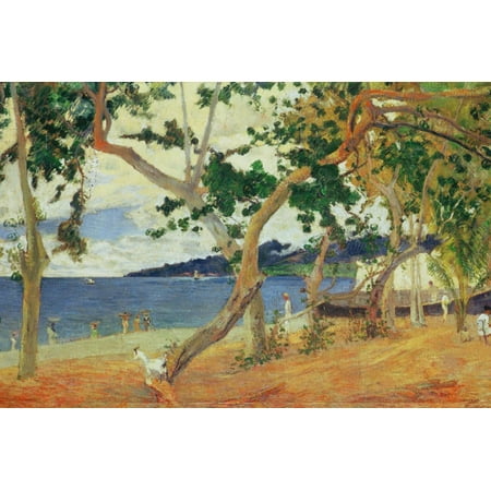 By the Seashore, Martinique, 1887 Coast Ocean Landscape Painting Print Wall Art By Paul