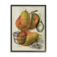 thumbnail image 2 of Stupell Industries Pear Fruit Harvest Illustration Vintage Text Passage, 11 x 14,Design by Daphne Polselli, 2 of 5