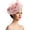 PK1, variant on CAIXIA Fascinator Hat with 2 Ways to Wear - Feather Tea Party Wedding Formal Hat with Clip & Headband