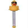 Game Group Derby Duck Pool and Spa Thermometer