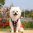 thumbnail image 4 of Pet Dresses Spring And Chihuahua Puppy Clothes Girl Summer Pet Cothes Spring Outfits for Dogs Female And Summer Cute Pet Dog Sparkly Dress Supplies Dresses Rose Dress Small Dog Dress Birthday Girl Dog, 4 of 8
