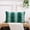 Green#2, variant on Decorative Polyester Pillow Cover 19.7x11.8 Inches Cushion Case for Sofa Bedroom Breathable Long-Lasting Material Multiple Colors 1 Piece Easy to Maintain