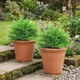 thumbnail image 2 of HOMCOM Artificial Boston Ferns UV-Resistant , 23.6" Fake Plants, Green, 2 of 10