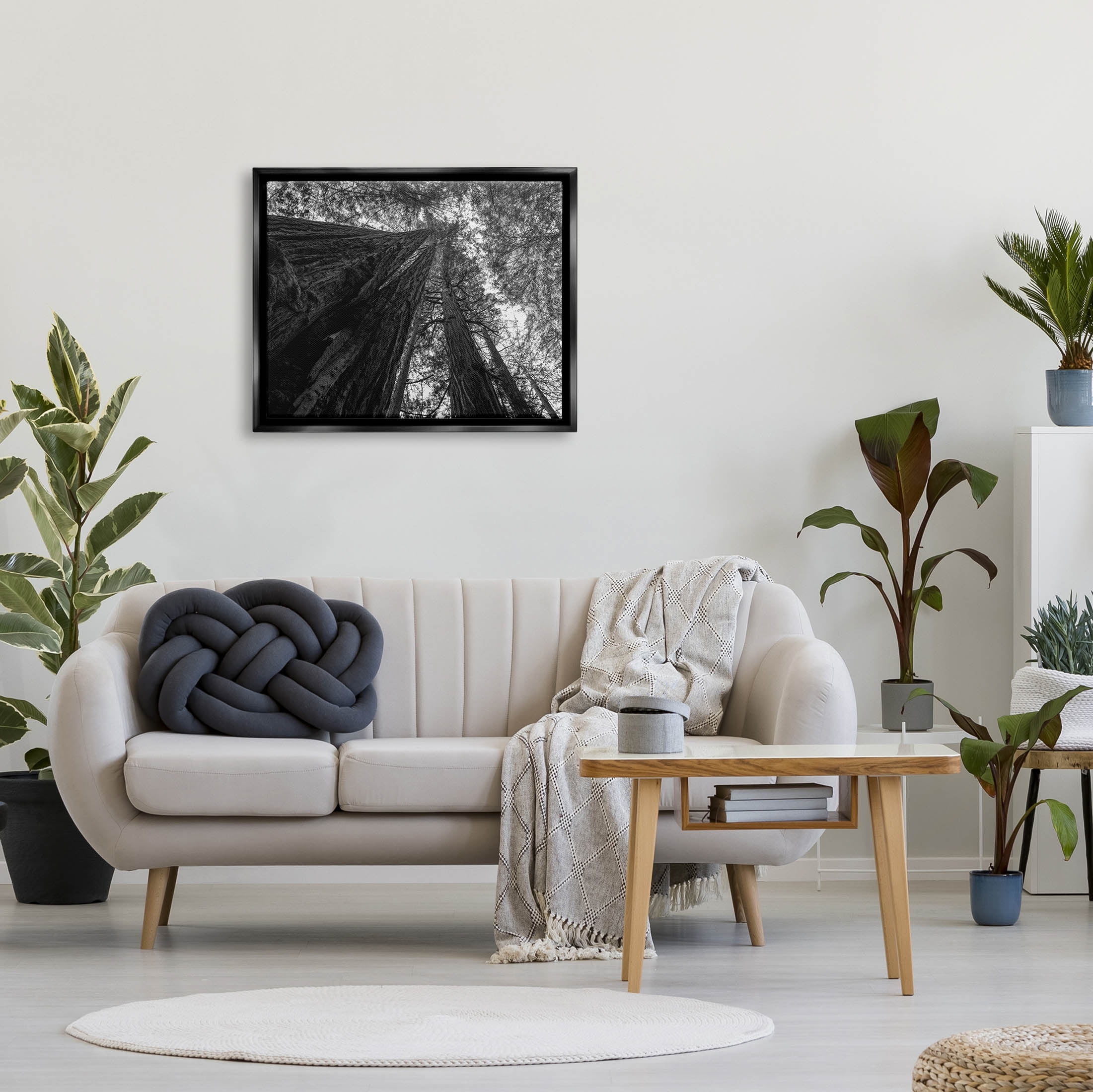 Stupell Industries Sky High Tree Looming Photograph Jet Black Floating Framed Canvas Print Wall Art, Design by Aaron Matheson