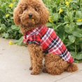 thumbnail image 2 of Nvzi Camiseta para perro y gato, camisetas transpirables para mascotas, sudadera para cachorro, ropa para perro, abrigos para perros pequeños, medianos y gatos, talla S, A36, 2 of 4