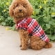 thumbnail image 2 of Nvzi Camiseta para perro y gato, camisetas transpirables para mascotas, sudadera para cachorro, ropa para perro, abrigos para perros pequeños, medianos y gatos, L, A37, 2 of 4