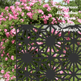 thumbnail image 5 of Tcbosik 48"W x 70"H Privacy Fence Screen for Indoor & Outdoor, Decorative Privacy Fence with Sun Flower Pattern, Freestanding Privacy Panel for Balcony, Backyard, Poolside, Black, 5 of 8