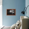 thumbnail image 5 of Humpback Whale Calf Playing on the Surface, Tonga, Animals Framed Art Print Wall Art by Wildestanimal Sold by Art.Com, 5 of 5