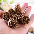 thumbnail image 4 of 20Pcs Natural Decorative Fake Pine Cone - Attractive Pinecone Decorations for Various Festival Uses, 4 of 8