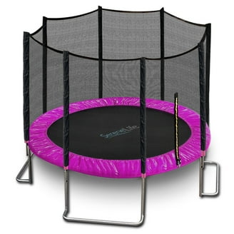 Skywalker Trampolines with Enclosure and Wind Stakes, Blue & Black