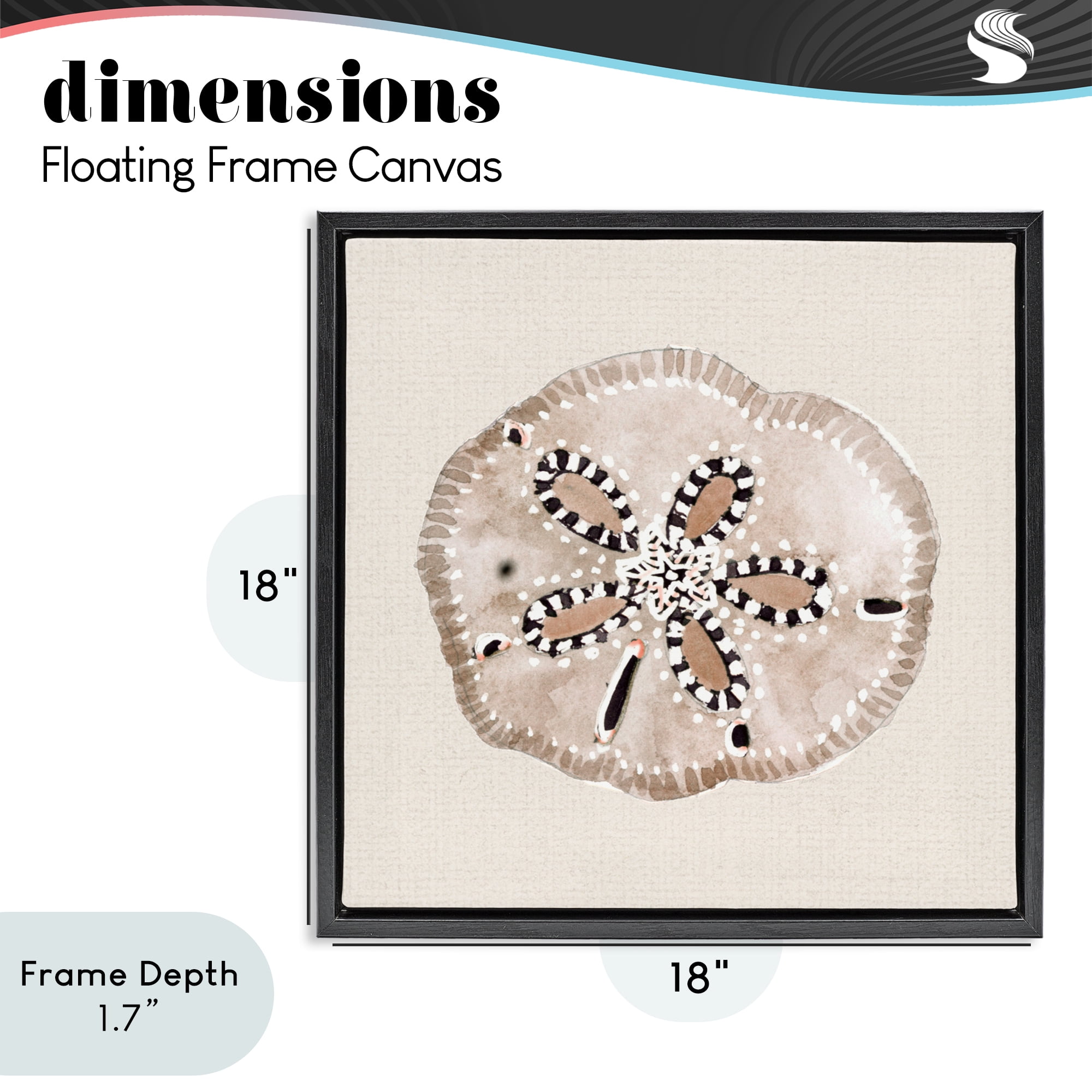Stupell Industries Taupe & Beige Sand Dollar Black Framed Floater Canvas Wall Art, design by Lanie Loreth