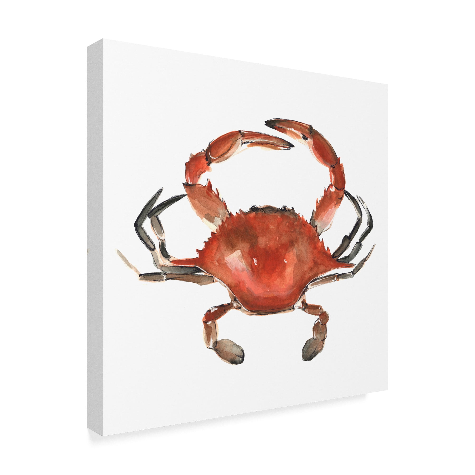 Trademark Fine Art 'Watercolor Crab I' Canvas Art by Emma Scarvey
