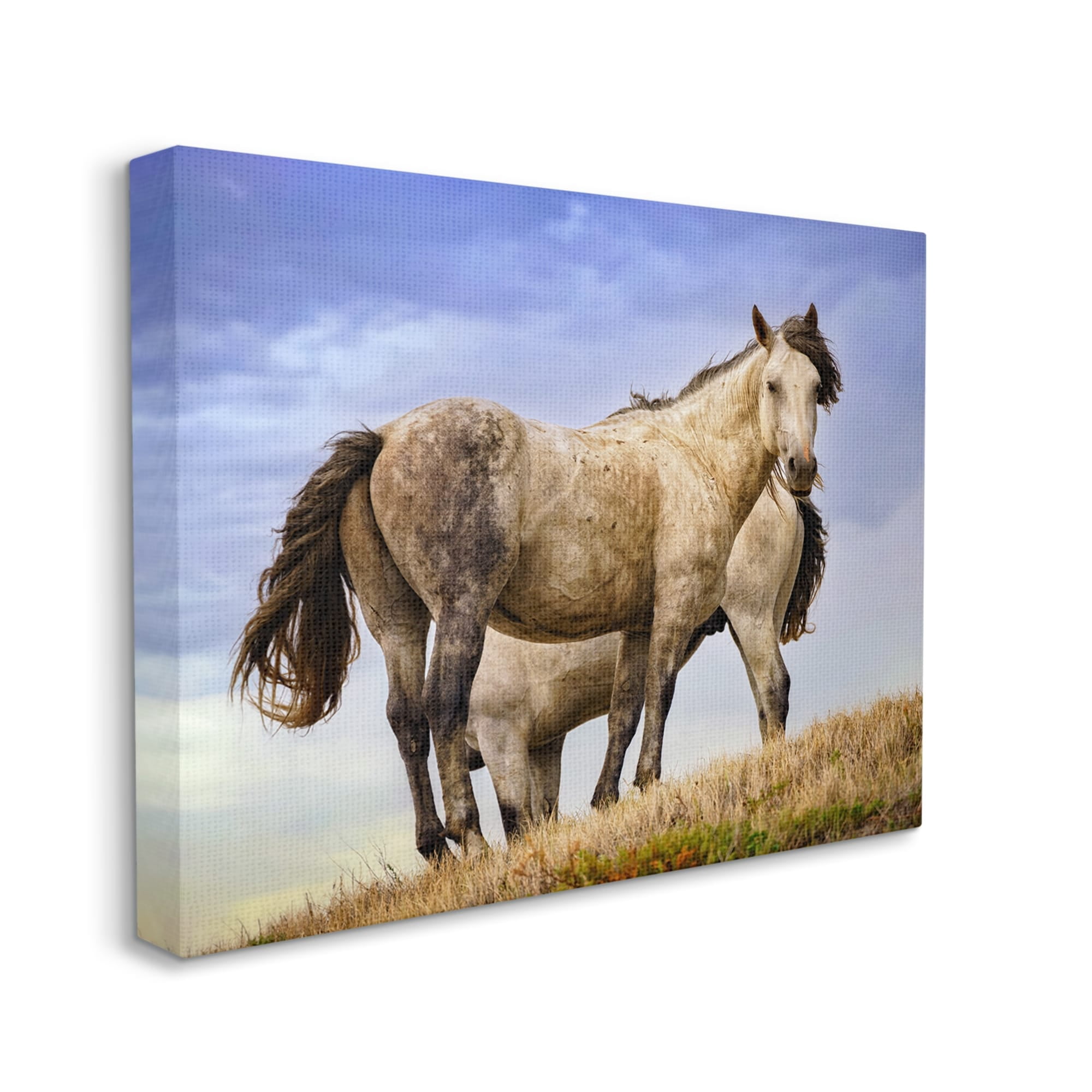 Stupell Rural Stallions Country Wildlife Animals & Insects Photography Gallery Wrapped Canvas Print Wall Art