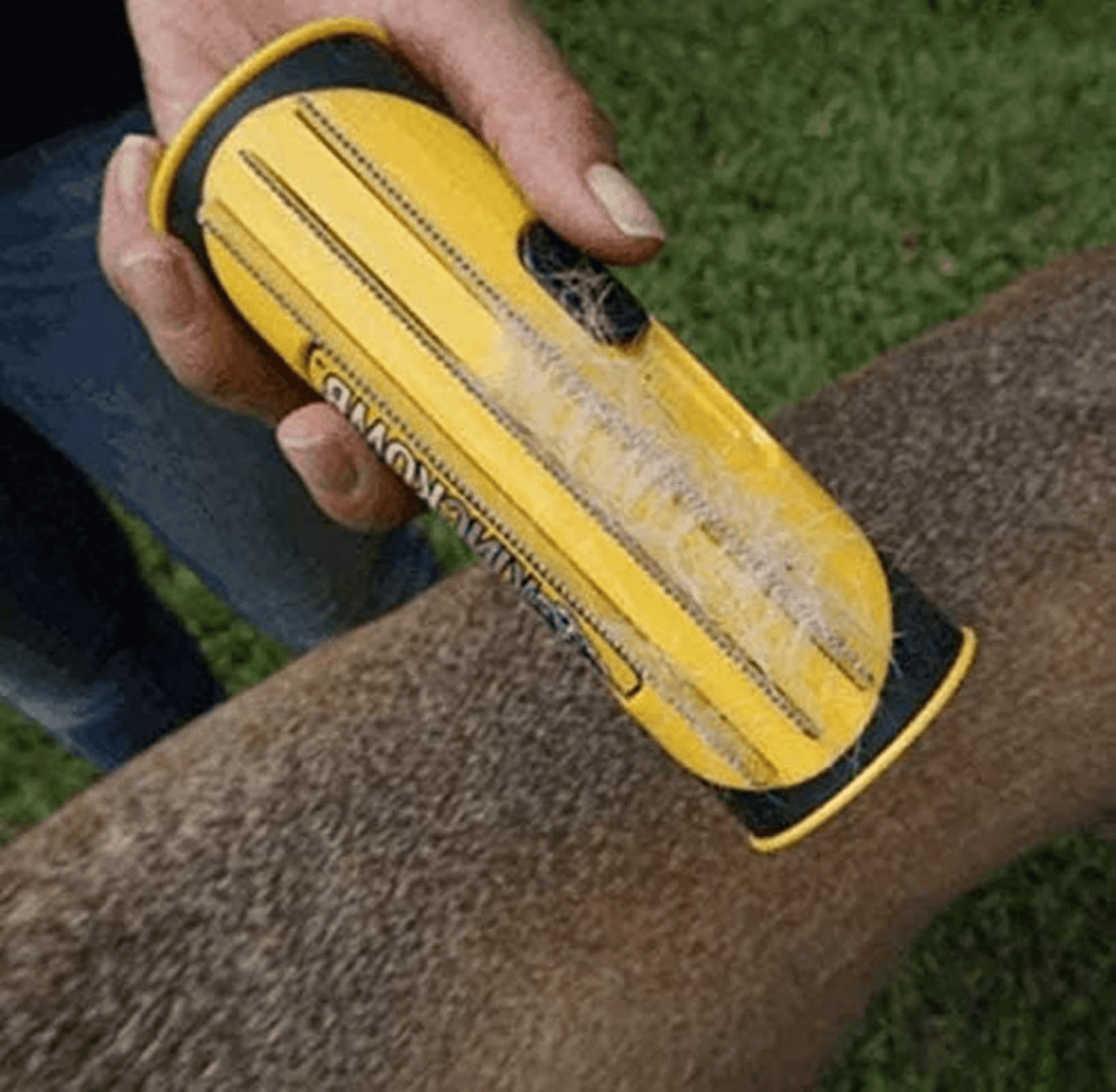 3In1 Undercoat And Deshedding Brush, Easy To Use, Brush, Dog Hair, Hair Remover, Hair Combs