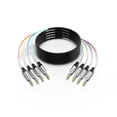 thumbnail image 2 of Snake Cable PRORECK, audio blindado de 4 canales, 7,6 m 1/4" TRS, 2 of 6