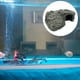 thumbnail image 4 of Cueva de resina artificial para escondite de reptiles y serpientes, decoración para acuarios de peces. D, 4 of 9