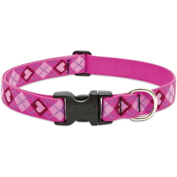 LupinePet Originals 1" Puppy Love 16-28" Adjustable Collar for Large Dogs