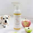 thumbnail image 2 of Buddy's Best Fresh & Clean Dry Shampoo for Dogs, 16 fl oz Bottle Waterless Dog Shampoo for Dog and Puppy Grooming (Apple Tart), 2 of 9