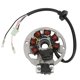 thumbnail image 1 of 0450523, ATV Magneto Stator Cobre Alto Rendimiento Para Reparación Reemplazo Para Polaris 50 90 ANGGREK HF1618, 1 of 8