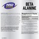 thumbnail image 2 of Beta-alanina Supplement NOW Sports Nutrition 750 mg 120 cápsulas, 2 of 8