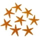 thumbnail image 3 of modelo de estrella de mar,Juguete para niños, 3 of 7
