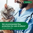 thumbnail image 3 of Advantage II Vet-Recommended Flea Prevention for Small Cats 5-9 lbs, 2-Monthly Treatments, 3 of 9