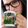 thumbnail image 2 of 3drose, Mexico, Chiapas, Tuxtla Gutierrez. a Little Donkey Tied Up in the Yard, 15oz Two-tone Green Mug, 2 of 6