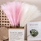 thumbnail image 2 of Matsuzay 3 unids/set Boho decoración Artificial Pampas Reed para no derramamiento y decoración del hogar duradera Downy Decoración del hogar Rosa claro, 2 of 6