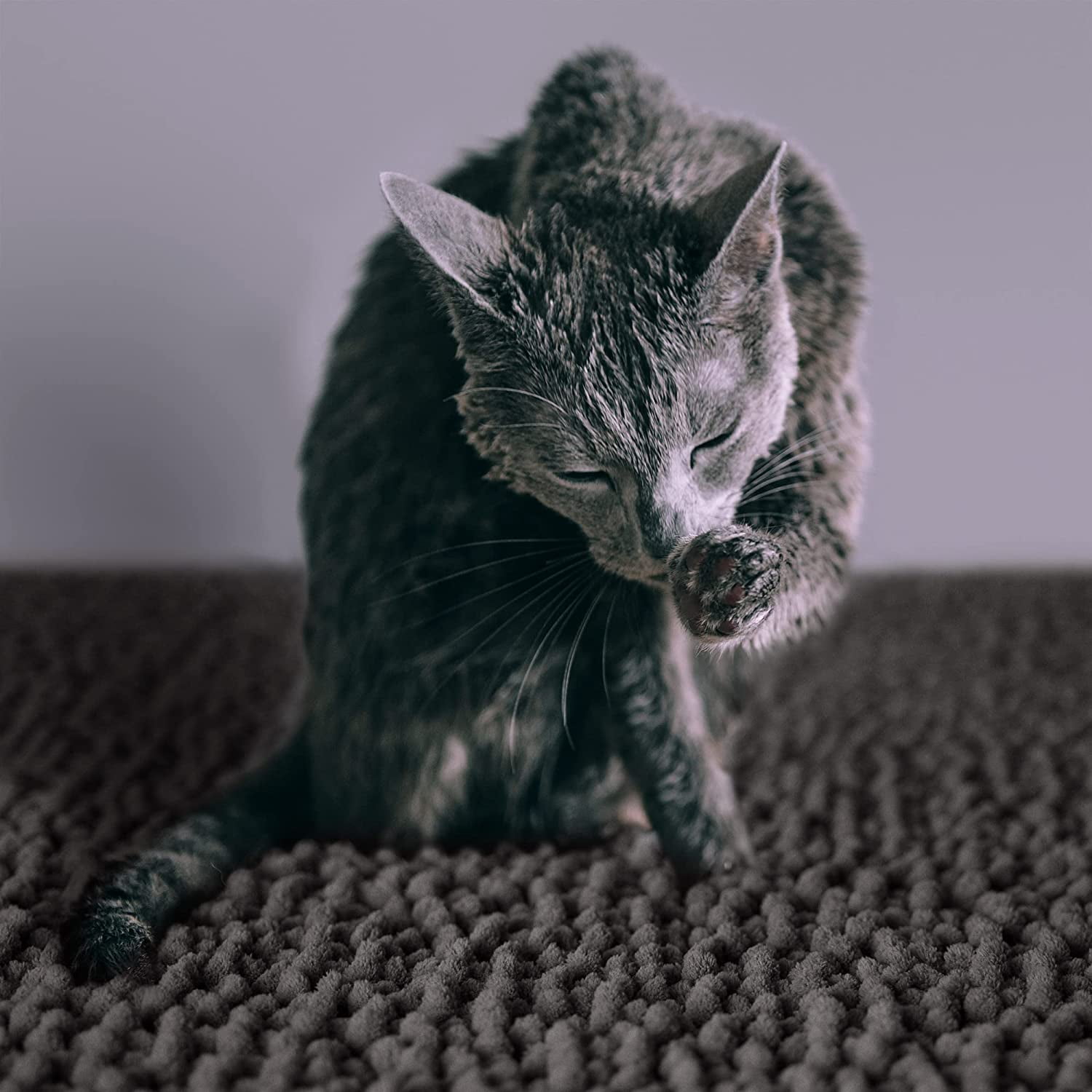 CatGuru Cat Litter Mat, Medium, Extra Large, XXL, Waterproof Litter Box Mat, Non Slip Kitty Litter Mat, Machine Washable Litter Trapping Mat, Soft Litter Tray, Cat Stuff (XXL, Grey/Standard)