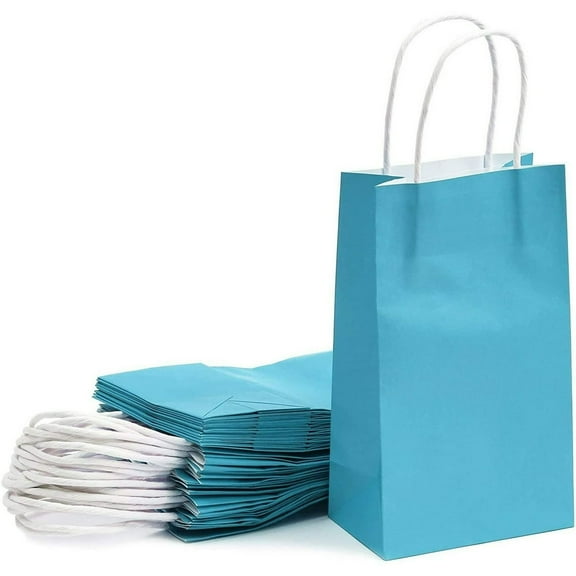 LEEYNEER 20 Pack Blue Kraft Paper Gift Bags  Party Favor  Shopping Bags with Handles