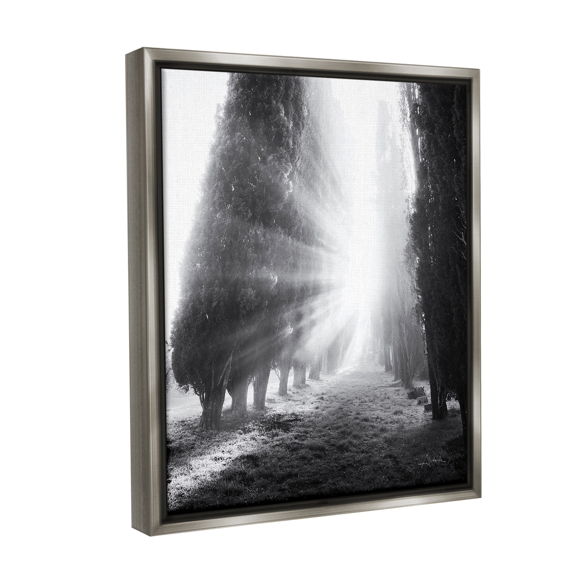 Stupell Industries Sun Rays & Hedge Grove Landscape Photography Gray Floater Framed Canvas Art Print Wall Art, 17 x 21