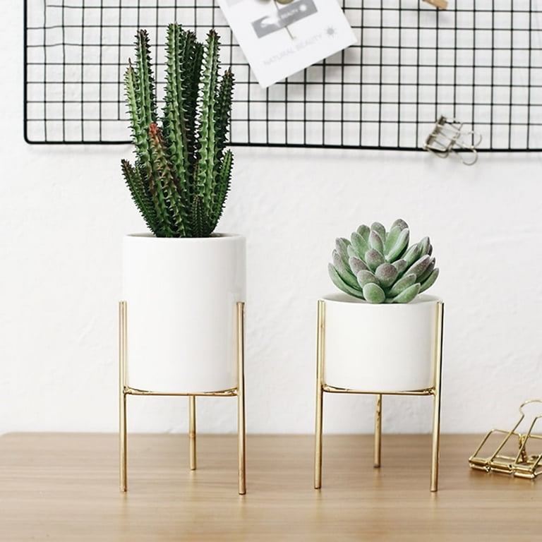 indoor plants rack 5-Tier Tall Indoor Plant Stand  HouseHero Hub
