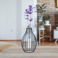thumbnail image 6 of Hydroponic Flower Vase, Propagation Tube, Terrarium Glass Pot, Black Metal Body Table Vase 10 inch, 24 cm, 6 of 6