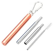 Stibadium Reusable Metal Straws Collapsible Stainless Steel Drinking Straw Portable Telescopic Straw with Case Rose Gold